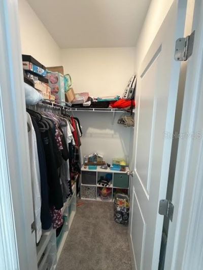 10607 Ladybug Cove, Parrish, FL 34219 Photo