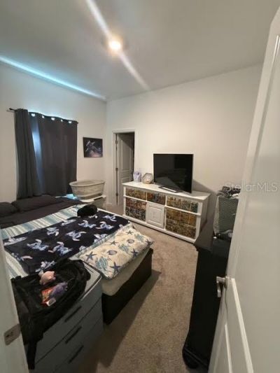 10607 Ladybug Cove, Parrish, FL 34219 Photo