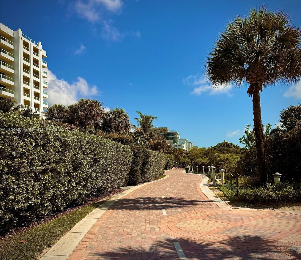 65 Washington Ave, Unit 3, Miami Beach, FL 33139 Photo