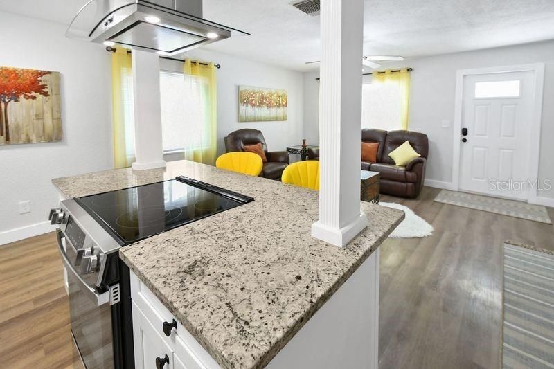 418 40th Avenue S, Saint Petersburg, FL 33705 Photo