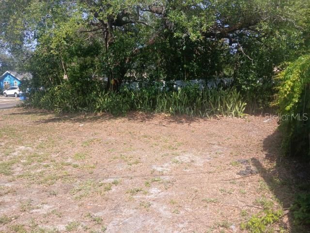 930 James Avenue S, Saint Petersburg, FL 33705 Photo