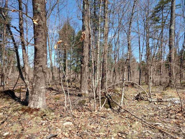 TBD Black Creek (East) Road, Arvon Twp, MI 49962