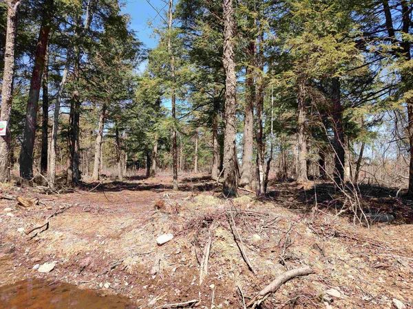 TBD Black Creek (West) Road, Arvon Twp, MI 49962