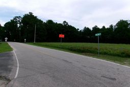 Highway 17 Bypass photo 4