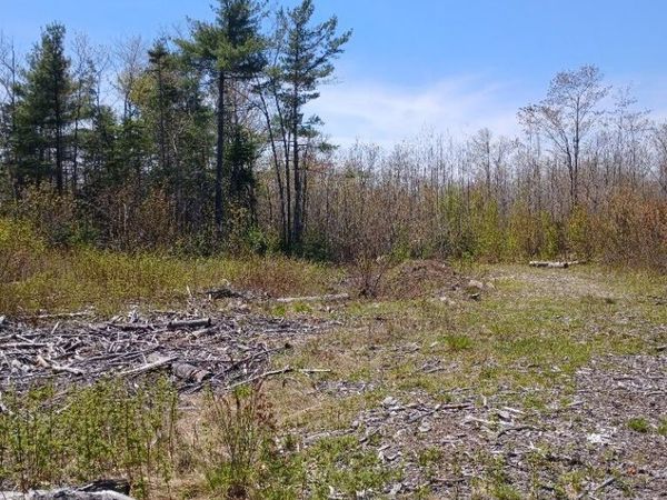 40 Eleanor Mae Road, Deblois, ME 04622