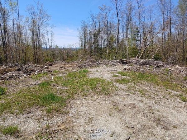 40 B Eleanor Mae Road/ Lower Road Road, Deblois, ME 04622