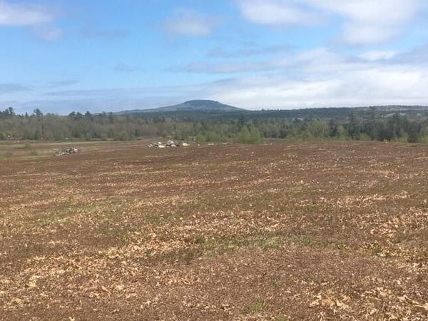 0 Kingdom Road, Blue Hill, ME 04614