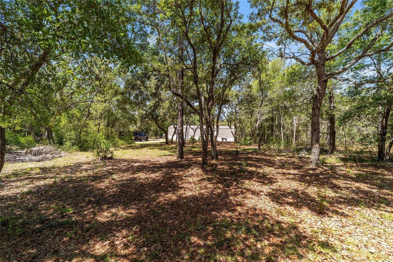 9088 S Berkshire Avenue, Inverness, FL 34452 Photo