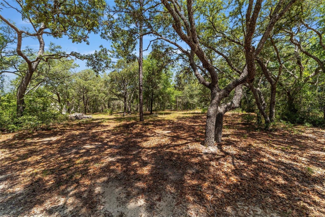 9088 S Berkshire Avenue, Inverness, FL 34452 Photo