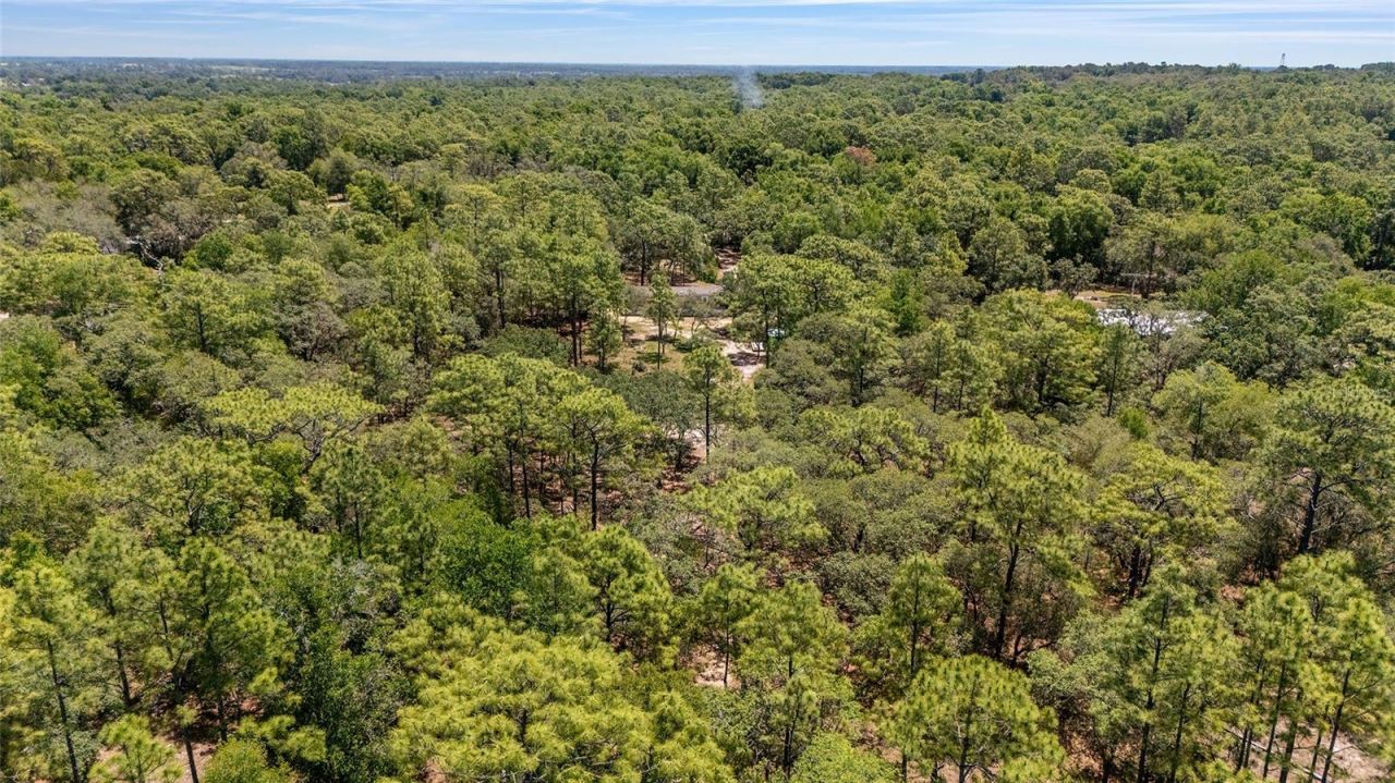 9088 S Berkshire Avenue, Inverness, FL 34452 Photo