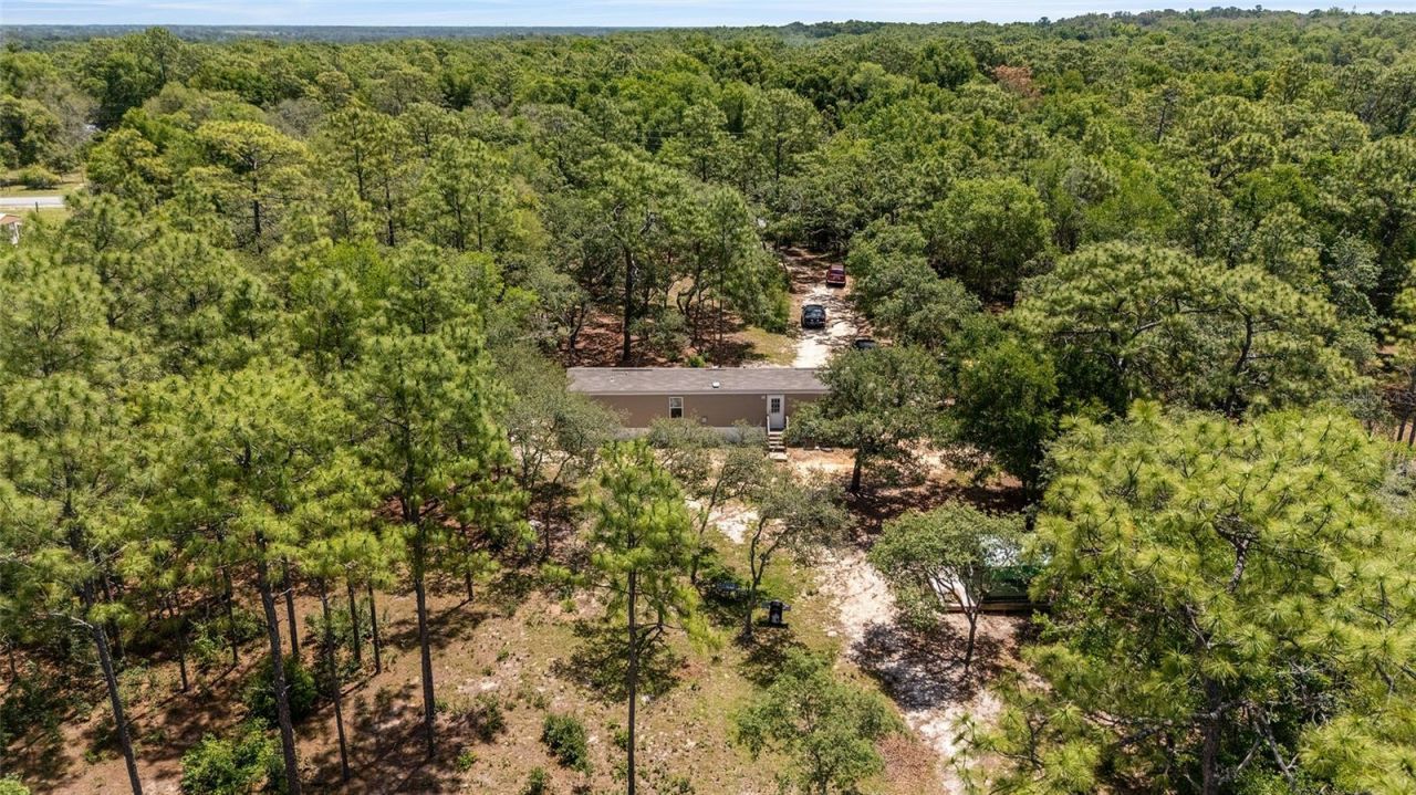 9088 S Berkshire Avenue, Inverness, FL 34452 Photo