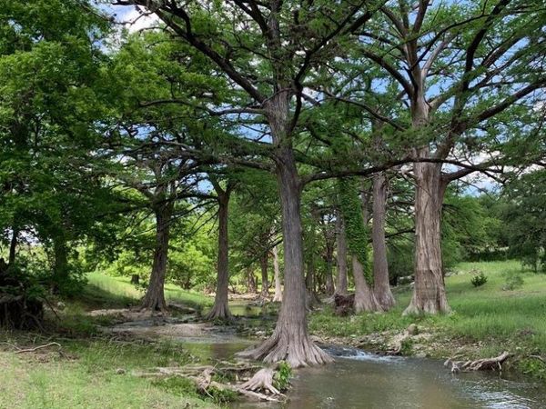 LOT 94 Sabinas Ridge Road, Boerne, TX 78006
