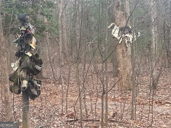 38 &51 Mountain Crest Road, Dawsonville, GA 30534