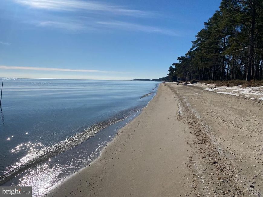 15363 Holly Drive, Scotland, MD 20687 Main Photo