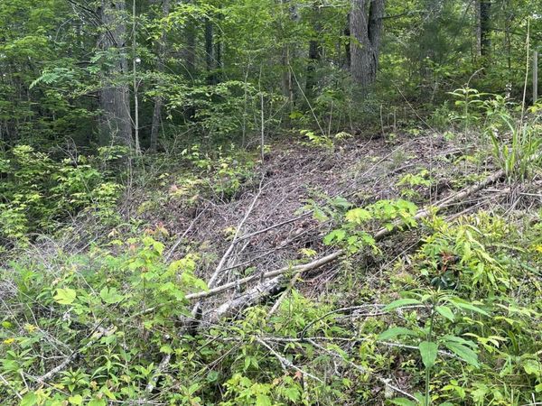 1115 Tranquility Hills Way, Cosby, TN 37722