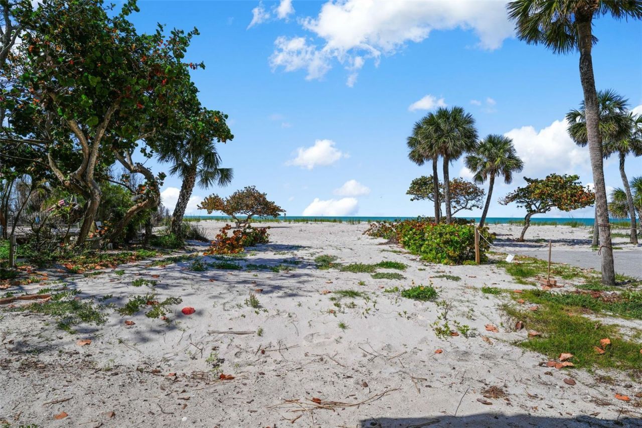 13062 Gulf Boulevard, Madeira Beach, FL 33708 Photo