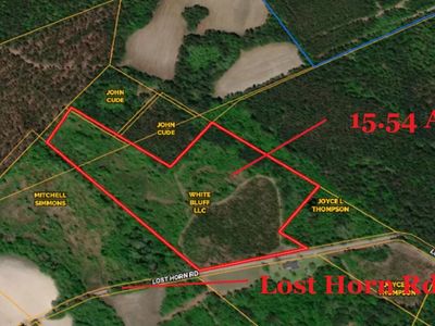 0 Lost Horn Road, Branchville, SC 29432