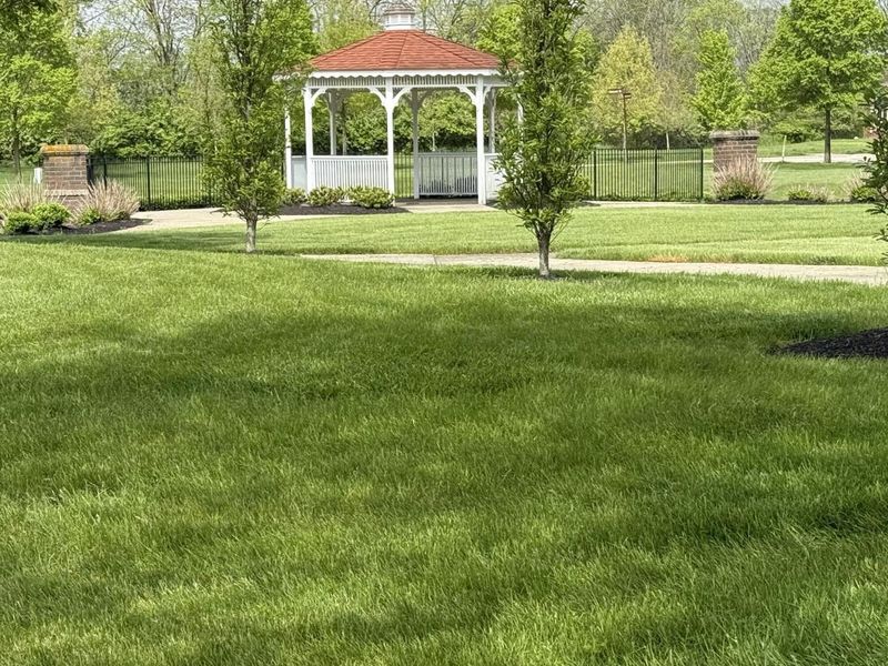 8101 Oaktree Drive S, Dublin, OH 43016 Photo 38