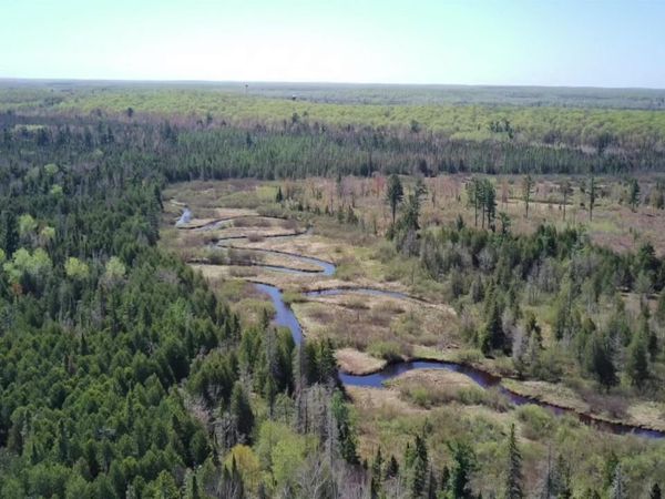 TBD SG Road, Wells Twp, MI 49831