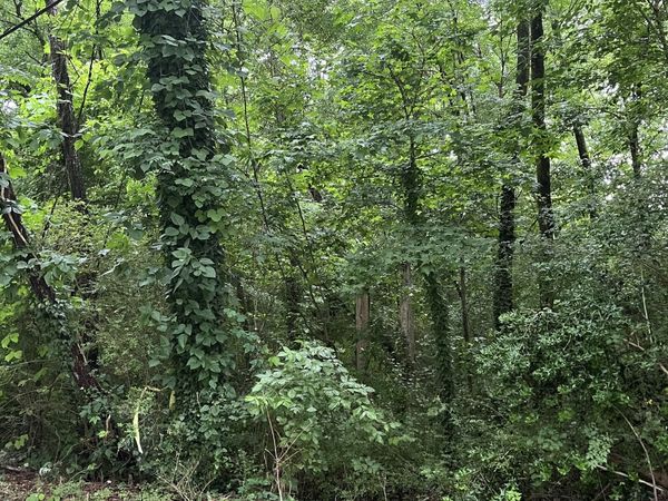 0 Springside Drive, Atlanta, GA 30354