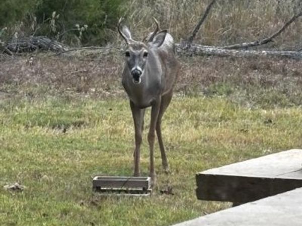 5073 Loper Circle, Streetman, TX 75859