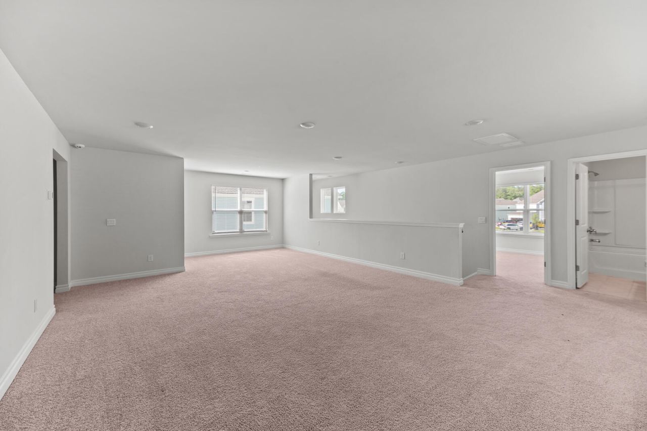 113 Petrell Road Photo 10