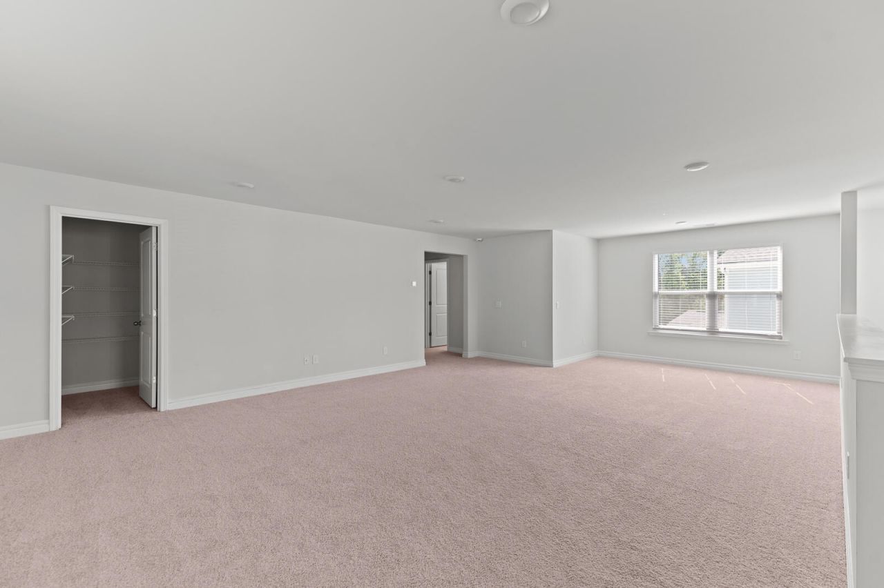 113 Petrell Road Photo 12