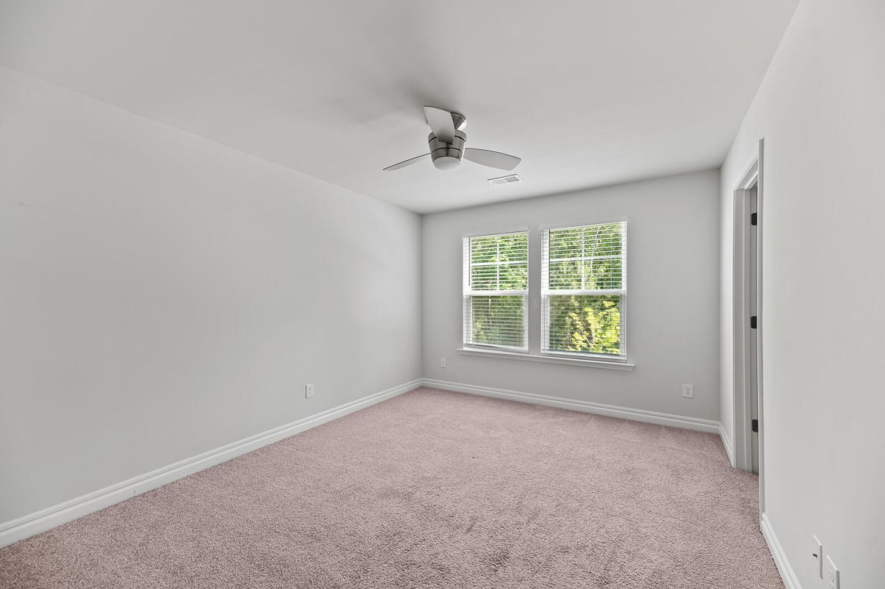 113 Petrell Road Photo 13