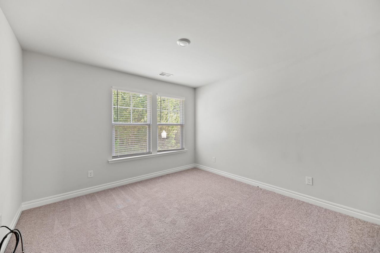 113 Petrell Road Photo 15