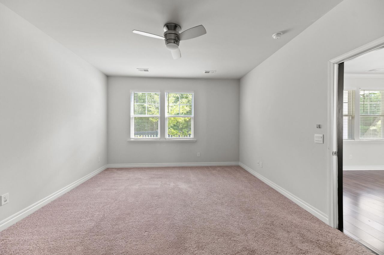 113 Petrell Road Photo 7