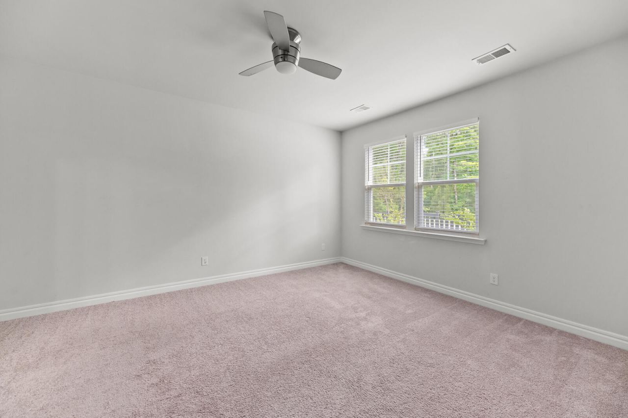 113 Petrell Road Photo 8