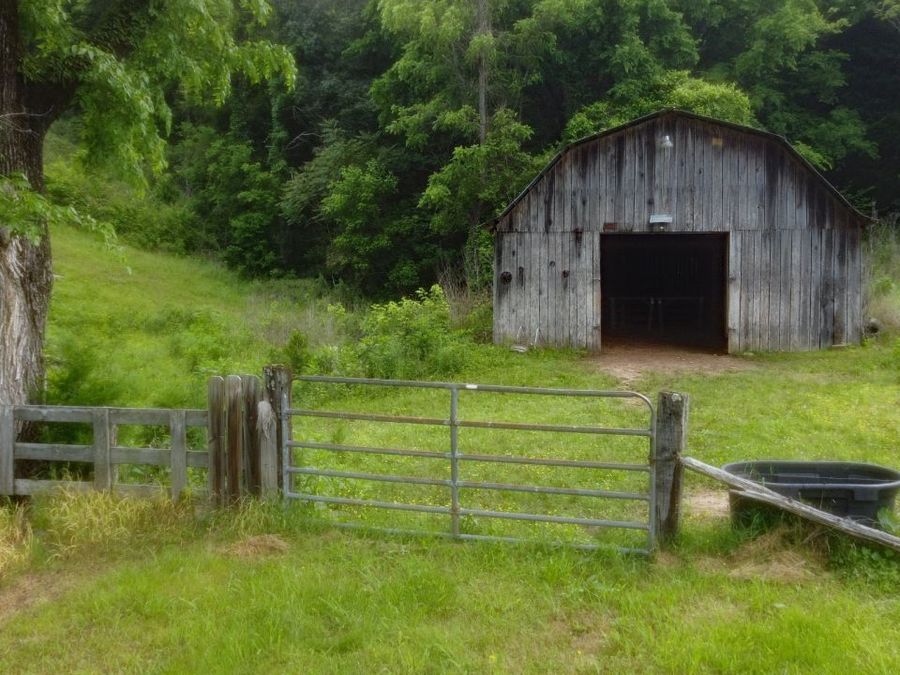 Property Image 17