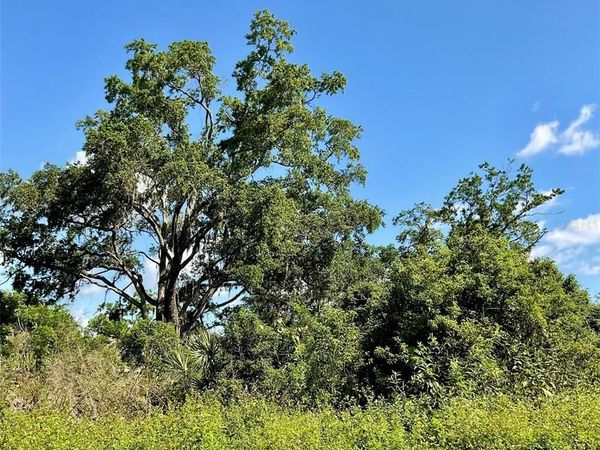 PAIGE AVENUE, NEW SMYRNA BEACH, FL 32168