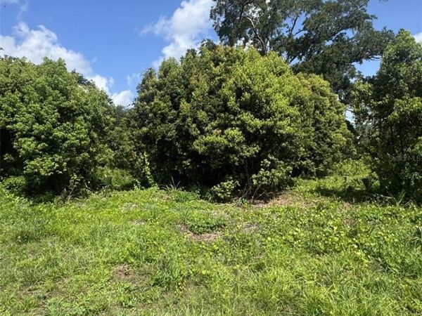 PAIGE AVENUE, NEW SMYRNA BEACH, FL 32168