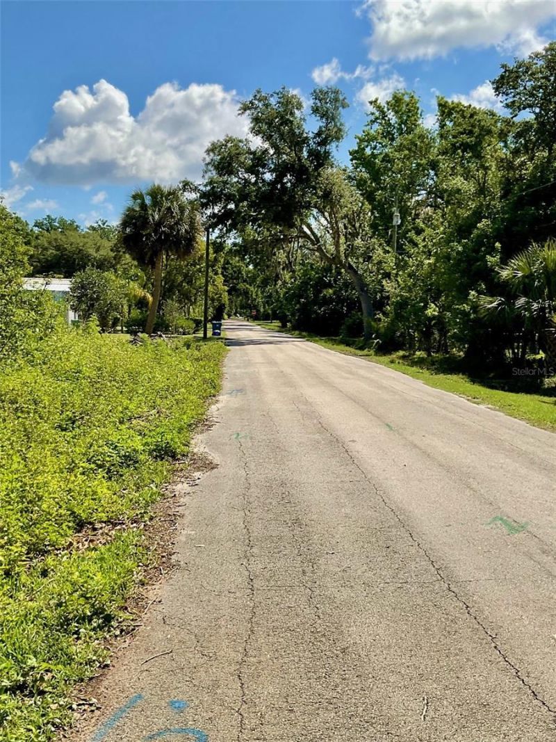 Paige Avenue, New Smyrna Beach, FL 32168 Photo