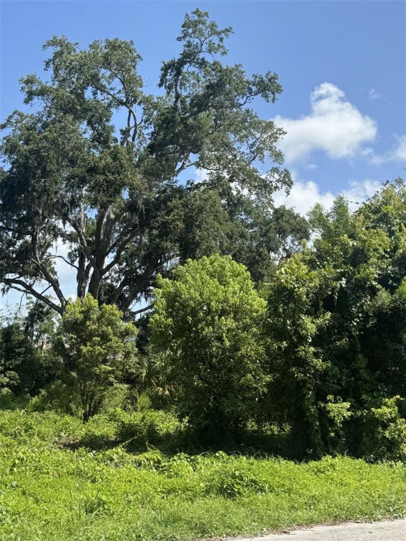 Paige Avenue, New Smyrna Beach, FL 32168 Photo