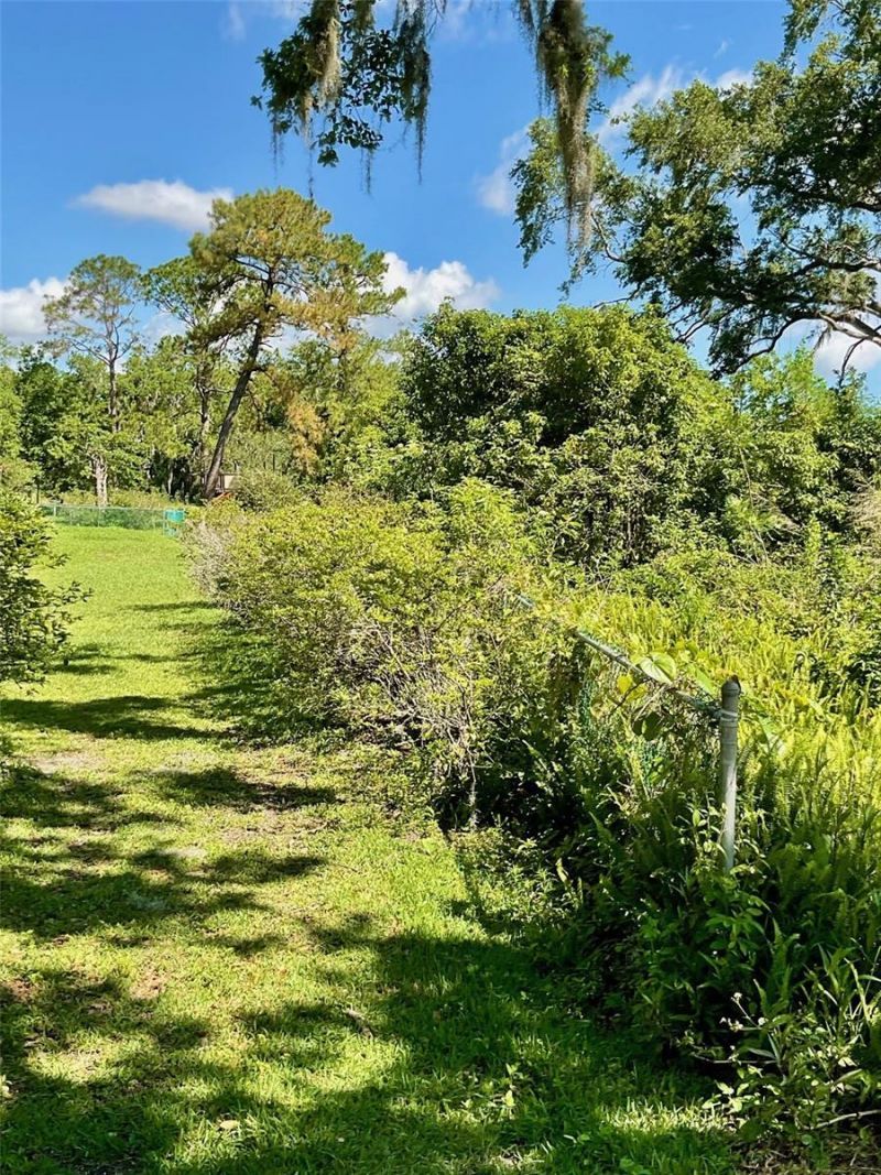 Paige Avenue, New Smyrna Beach, FL 32168 Photo