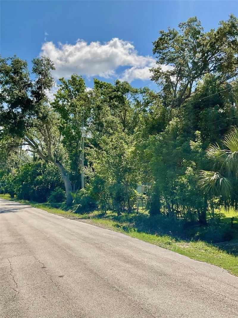 Paige Avenue, New Smyrna Beach, FL 32168 Photo