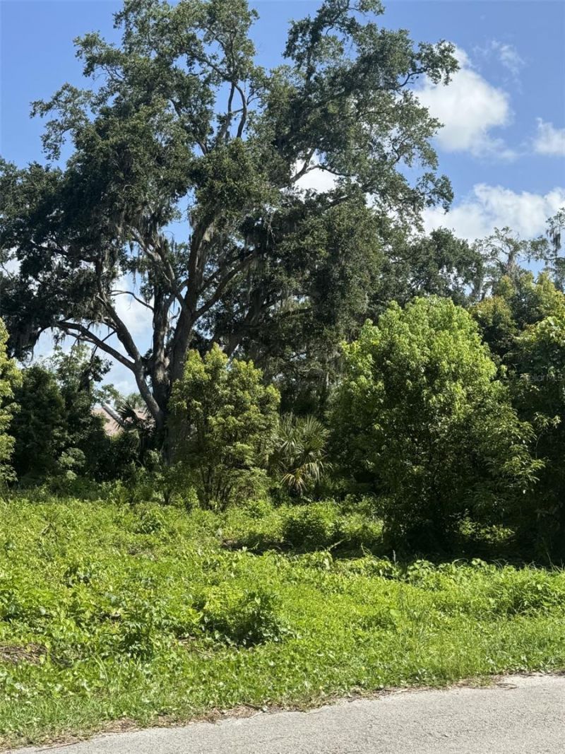 Paige Avenue, New Smyrna Beach, FL 32168 Photo