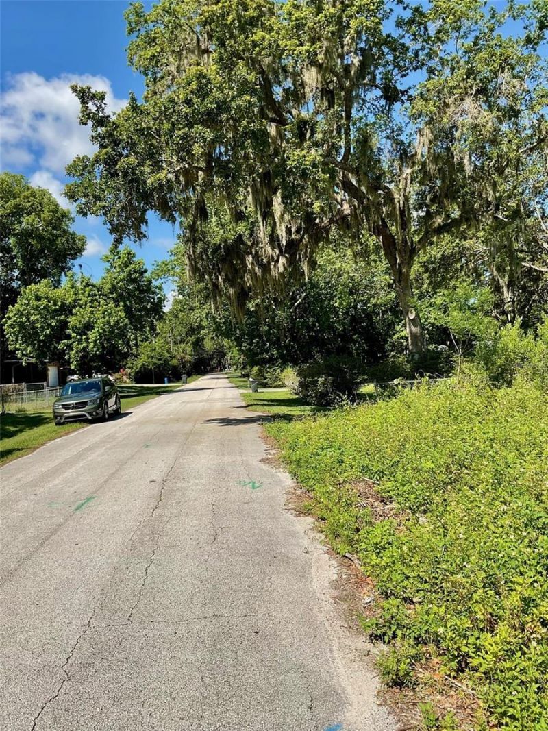 Paige Avenue, New Smyrna Beach, FL 32168 Photo