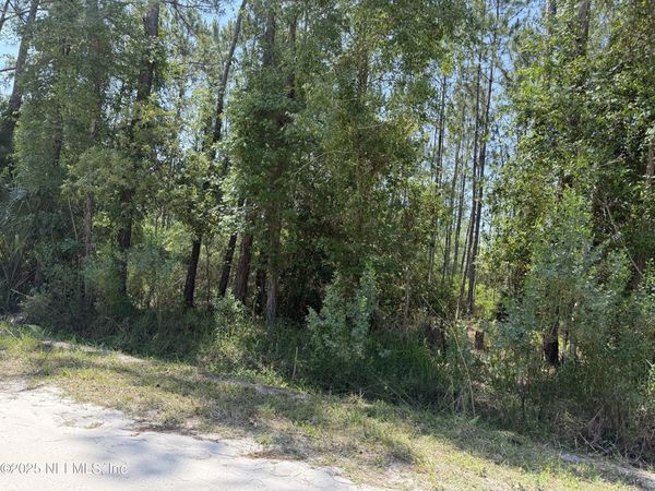 107 WHITE PINE Lane, Georgetown, FL 32139