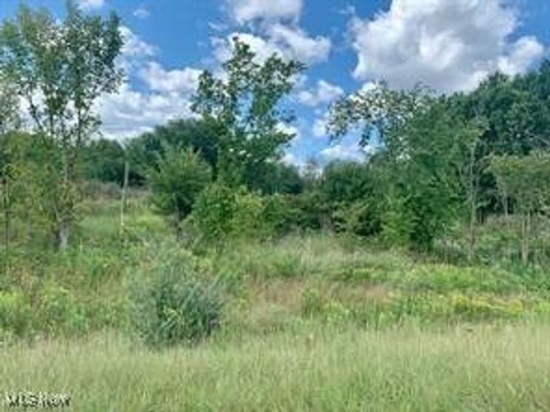 Akron Road, Doylestown, OH 44230 Photo 3