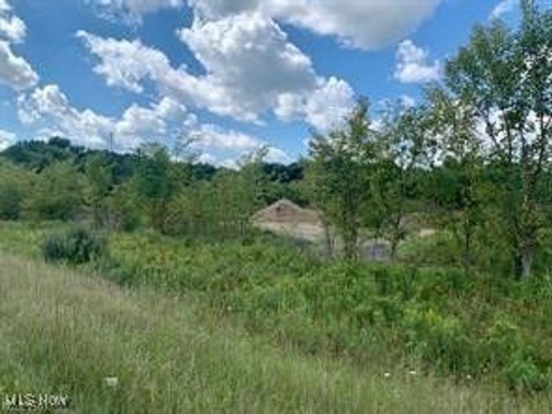 Akron Road, Doylestown, OH 44230 Photo 4
