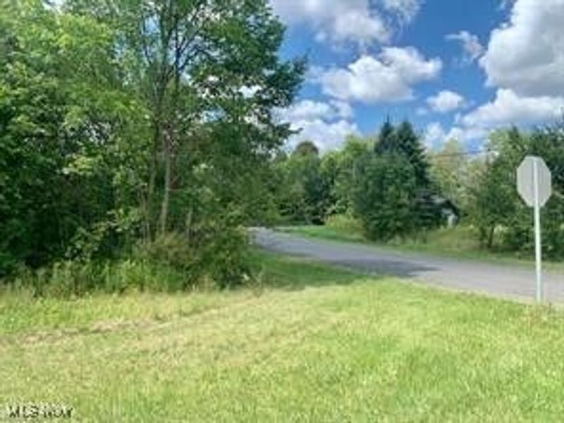 Akron Road, Doylestown, OH 44230 Photo 7