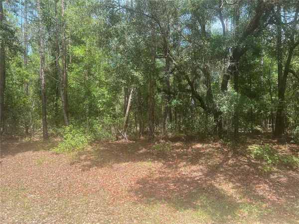 8729 N WALLINGFORD AVENUE, DUNNELLON, FL 34434