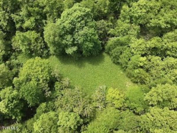 Tbd Buffalo Hollow Road, Castlewood, VA 24224