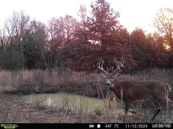 0 Central Grove Rd & Marling Rd., Middletown, MO 63359