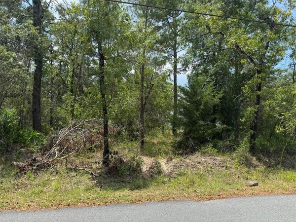 Lot 62 MICHIGAN AVENUE, WEEKI WACHEE, FL 34613