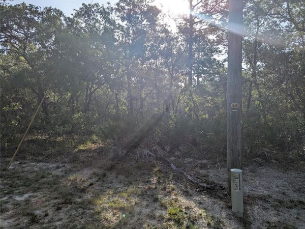 19036 RETRIEVER ROAD, BROOKSVILLE, FL 34614