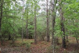 00 Stacey Bridge Rd photo 4